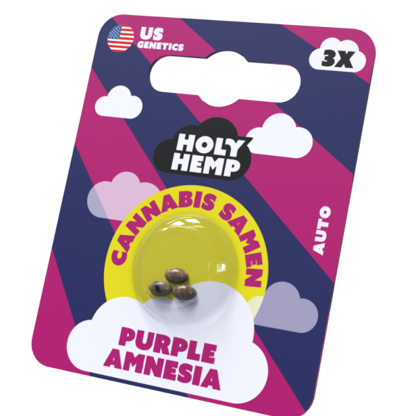 Cannabis Samen | Purple Amnesia 20-25% THC
