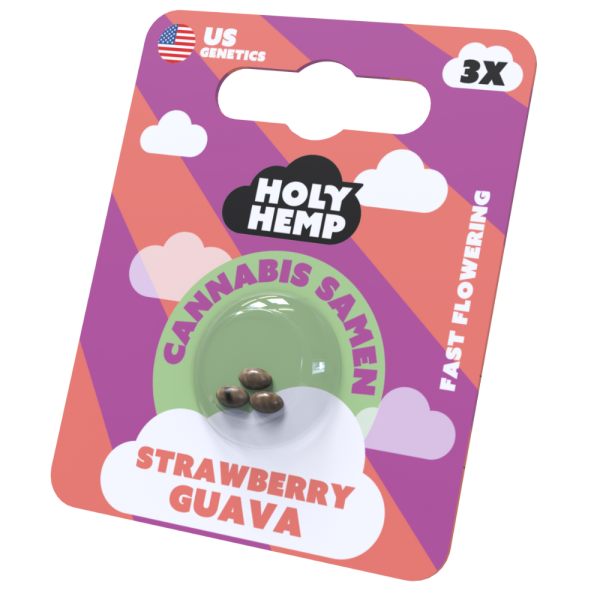 Cannabis Samen | Strawberry Guava 20-25%