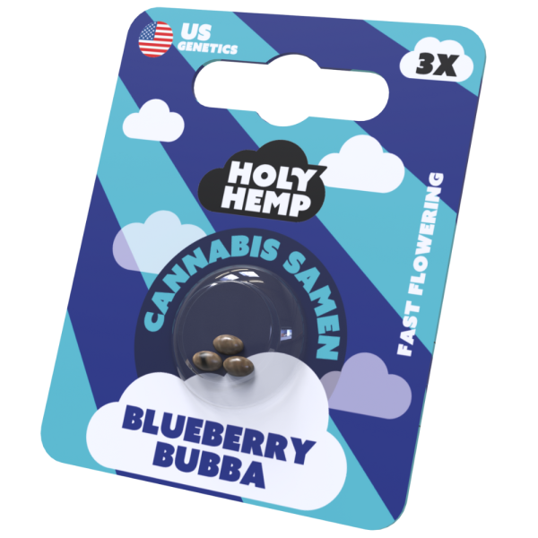 Blueberry Bubba Cannabis Samen